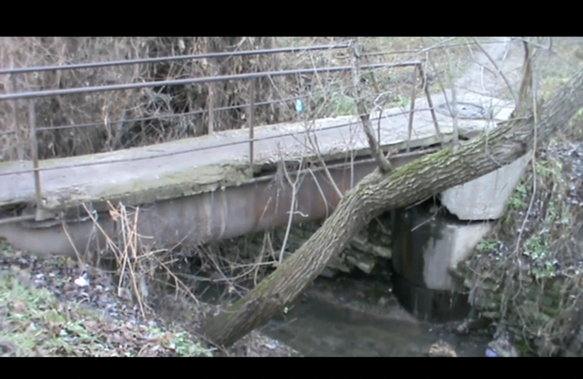 shot 4 from movie Haunted, the Hollow by Veronica Munteanu, Karin Nakajima, Sara Ouljour